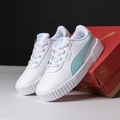 Puma Carina 3.0 AC INF 401479 05